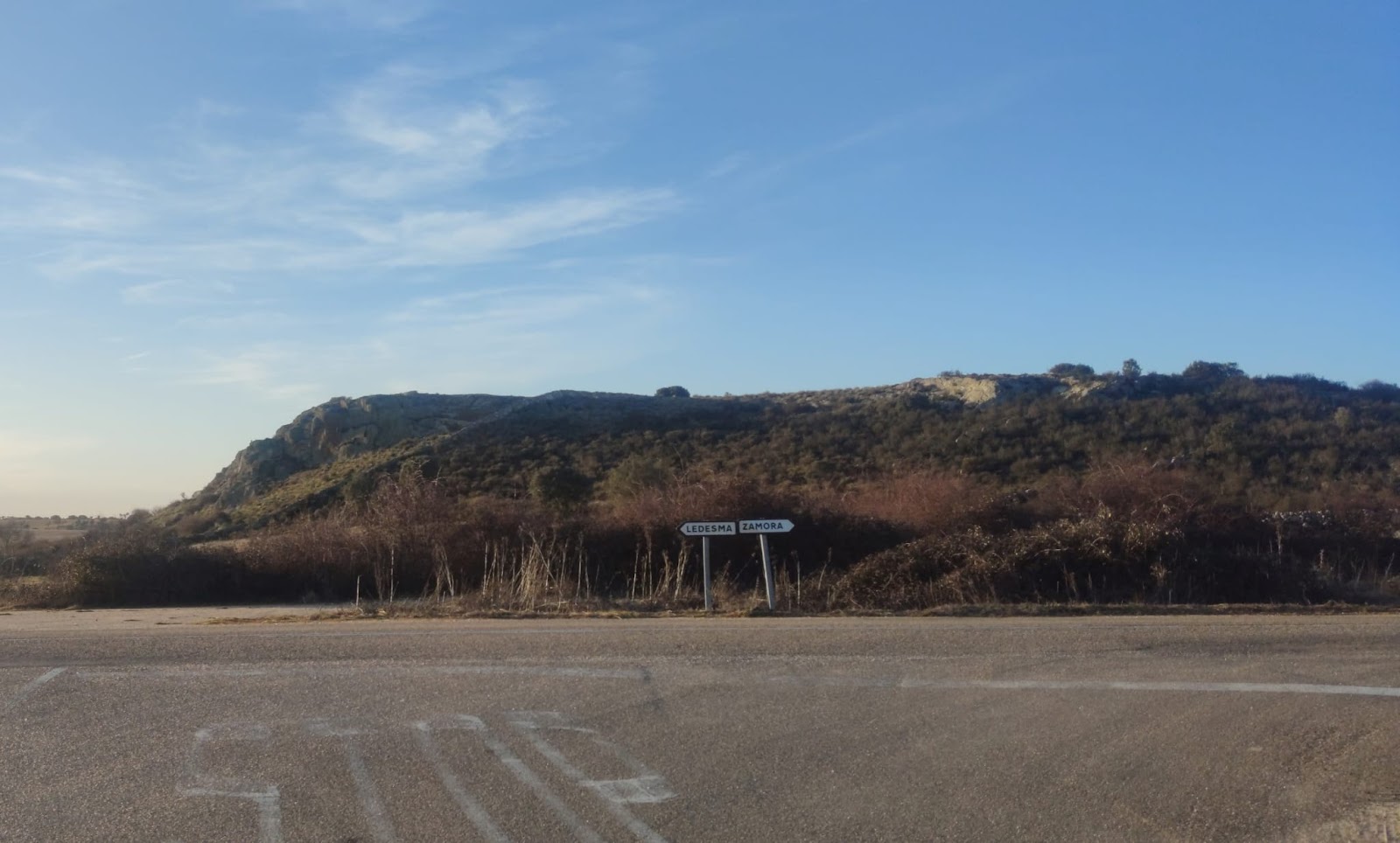 Detalle del Berrocal de la Viña